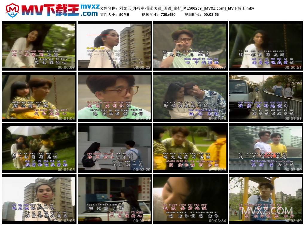 刘文正_郑吟秋-葡萄美酒_国语_流行_ME500259